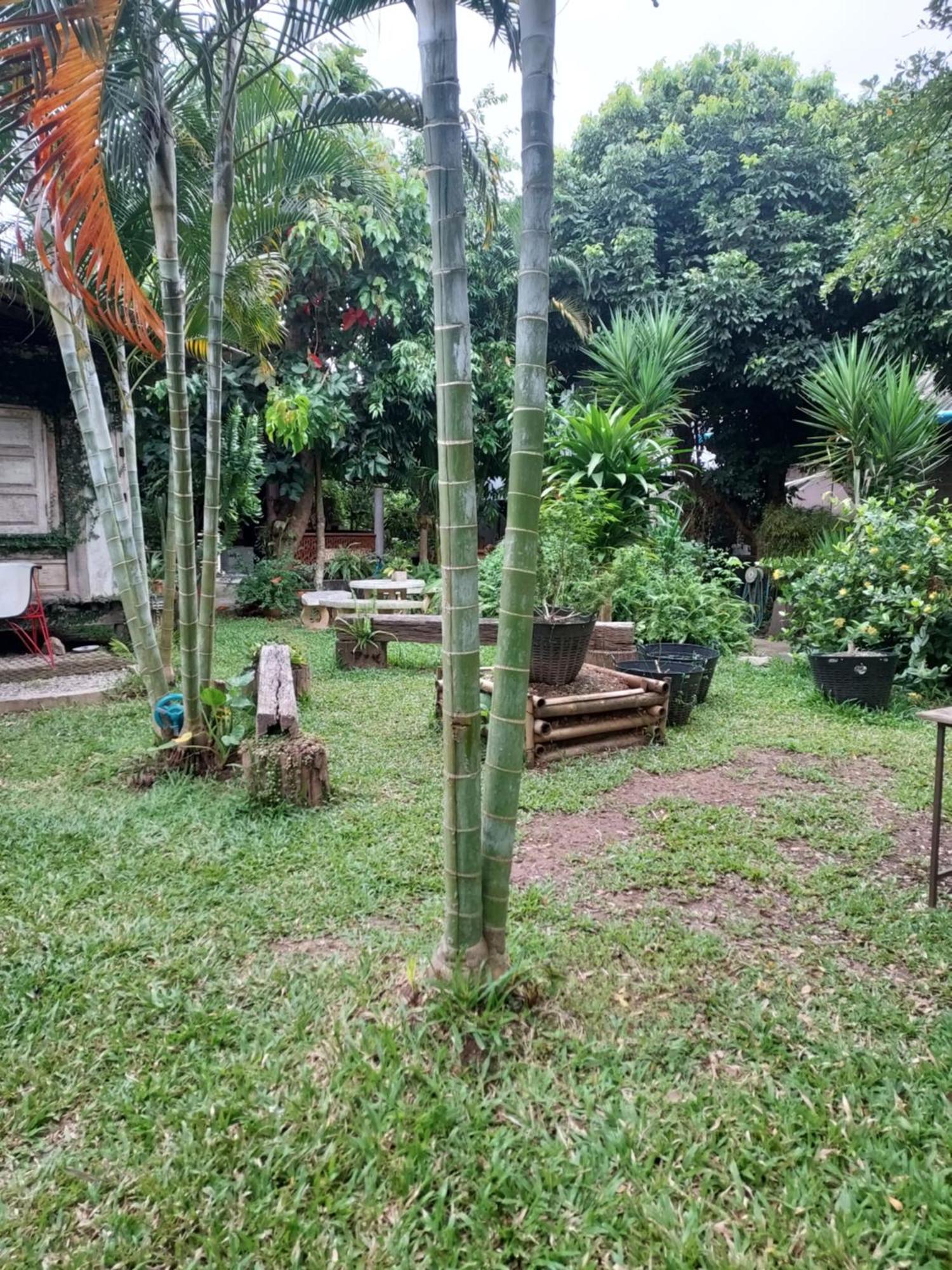 Kwanlah Homestay 매챔 외부 사진