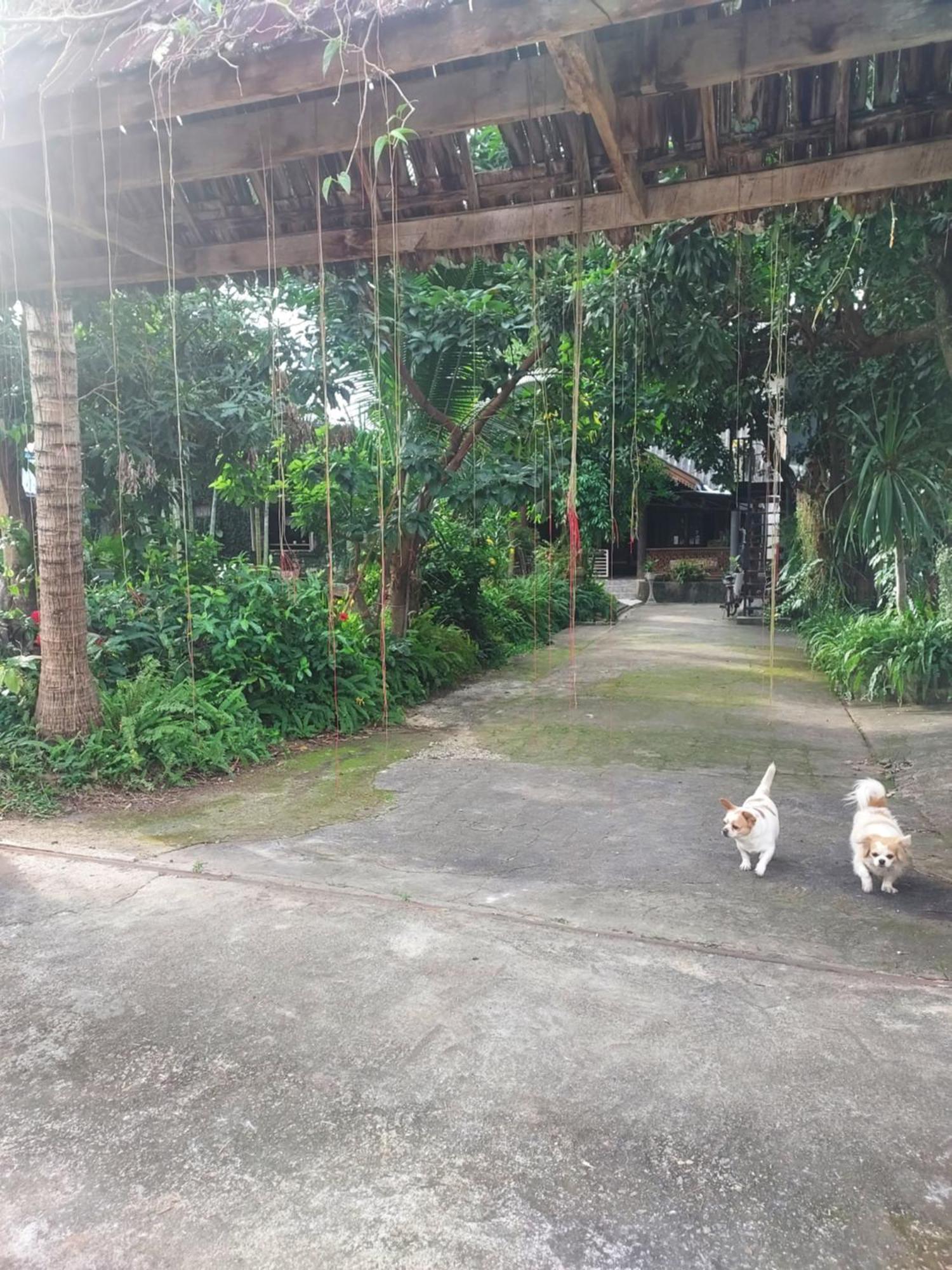 Kwanlah Homestay 매챔 외부 사진